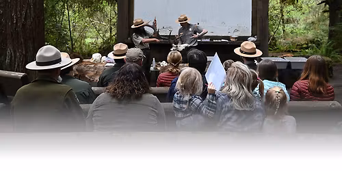 Parking Alter Bridge with Filter