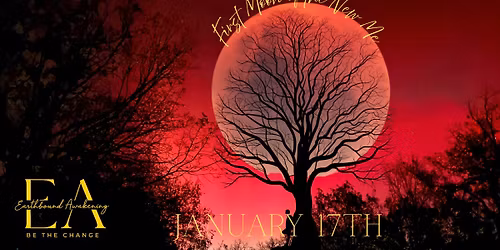 First Moon Of The New Me