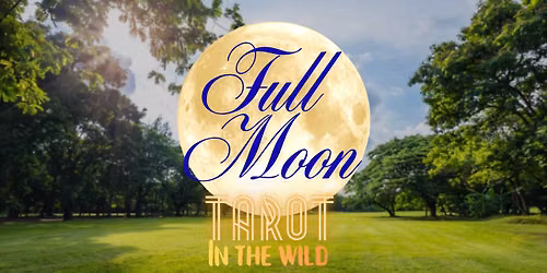 FULL MOON \ud83c\udf15 Tarot in the Wild