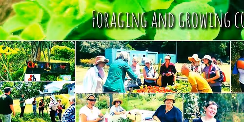 Wholesome Introduction to Foraging + Healthy potluck Wellington