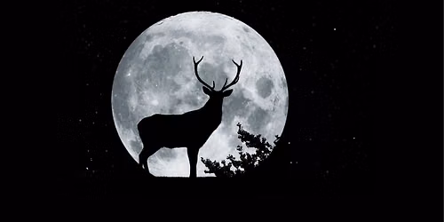 Buck Full Moon: A Yin Yoga & Intention Journey