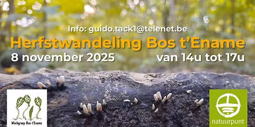 Herfstwandeling Bos t'Ename