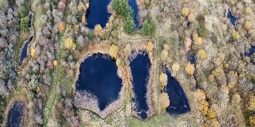 Volunteer Day \u2013 Hampton Nature reserve