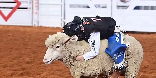 FWSSR: Mustang Magic Horses And Horsemen Of The World