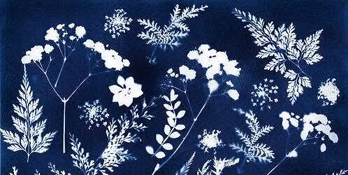 Beginners Cyanotype Class