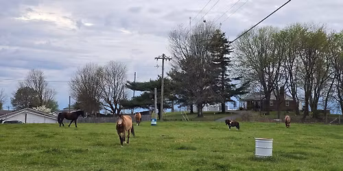 Masterson Park Trail Ride