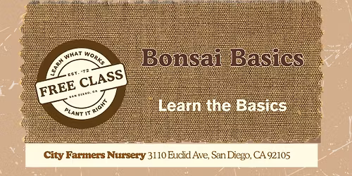 Bonsai Basics \ud83c\udf33\u2702\ufe0f