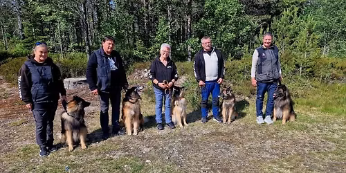 Rallystevne i Drammen Hundepark