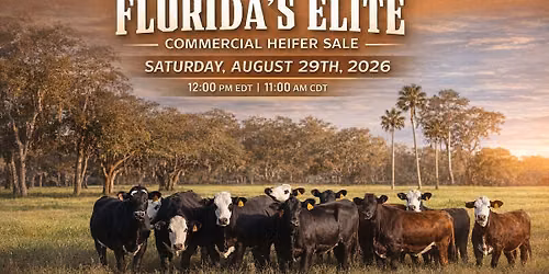 Florida's Elite Commerical Heifer Sale 