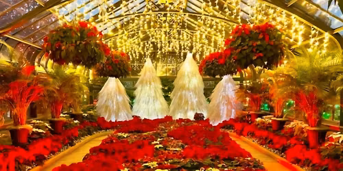Niagara Falls Christmas Lights & Botanical Gardens
