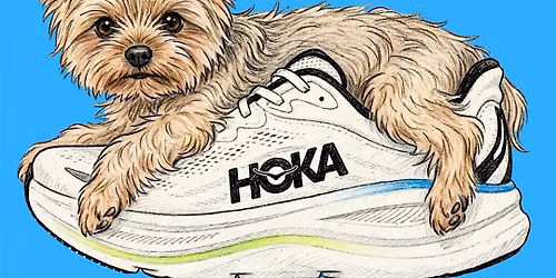 HOKA Flatiron Community Dog Walk
