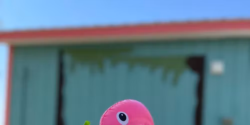 KOKOMO'S OPENING DAY - 2026