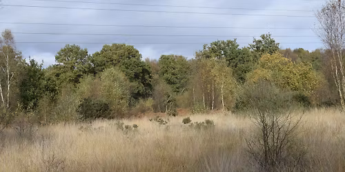 Hiking: Milford to Haslemere Walk - Sat 11 Apr 2026