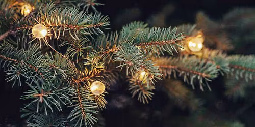 \u041a\u043e\u043b\u0435\u0434\u0430 \u0432 \u0411\u044a\u043b\u0433\u0430\u0440\u0441\u043a\u0438 \u0426\u0432\u0435\u0442\u043e\u0432\u0435 \u0432 \u041b\u0430\u0441 \u0412\u0435\u0433\u0430\u0441 \/ Christmas in Bulgarian Colors in Las Vegas 