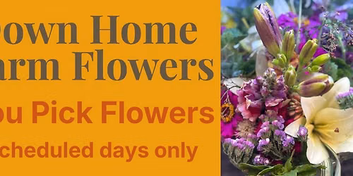 U Pick Flowers @ Down Home Farm