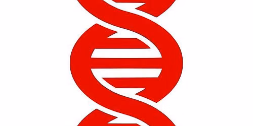 Taking the DNA Journey \u2013 family history using DNA match results