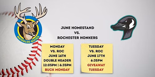 Rochester Honkers at Waterloo Bucks at Waterloo Riverfront Stadium