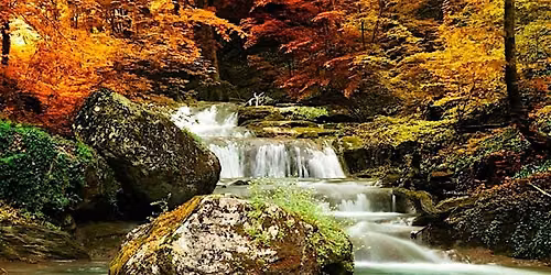Mabon Fall Equinox Ceremony and Celebration