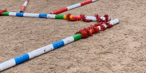 CHRISTMAS JUMPER POLEWORK 2 DAY CLINIC 