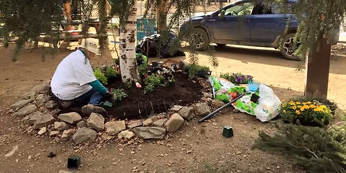 Ester Community Park Clean-Up Day