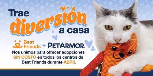 Salt Lake City | Adopciones sin costo durante todo abril gracias a PetArmor 