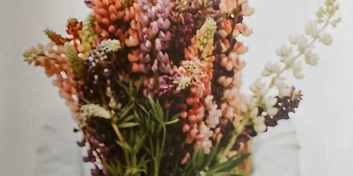 Women\u2019s Afternoon