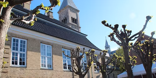 SOM HUGGET I STEN: guidet historisk vandretur i og omkring Viborg Domkirke og byens \u00e6ldste bykerne. 