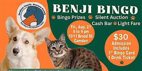 Benji Bingo