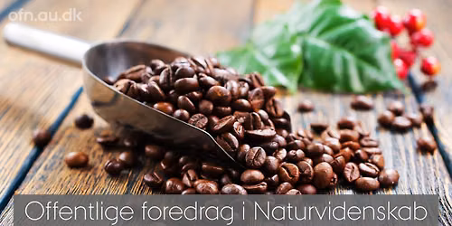 Kaffe