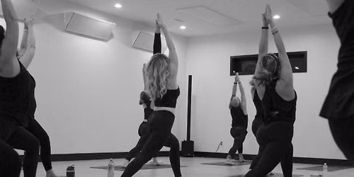 Kitty Yoga at Aspire