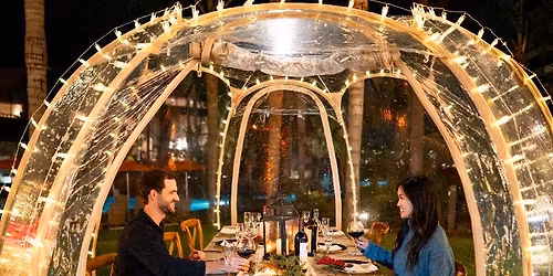 Igloo Dining Experience