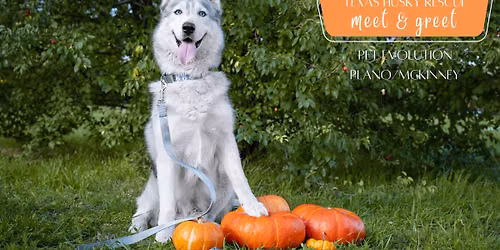 DFW October Meet & Greet - McKinney\/Frisco