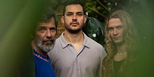 Bushbabies aka Knudsen\/Bremer\/Ewert