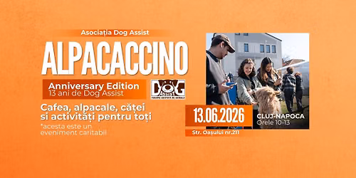 Alpacaccino Anniversary Edition