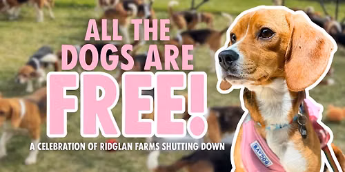 Meetup: ALL THE DOGS ARE FREE! Celebration of Ridglan Farms Shutting Down