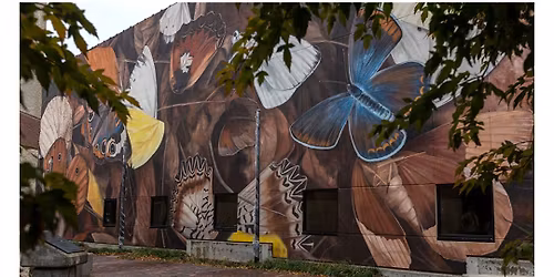 VOLUNTEER: Spring Spruce Up