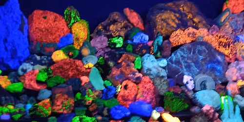 Badger Lapidary & Geological Society's Annual Rock, Gem & Mineral Show