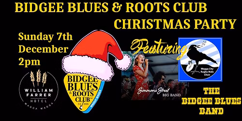 Bidgee Blues & Roots Club Christmas Party