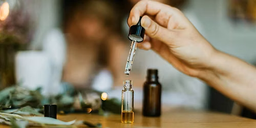 Alkemy Apothecary Nights: Scents of the Season