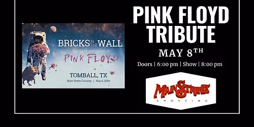 Pink Floyd Tribute called Bricks in The Wall | LIVE at Main Street Crossing