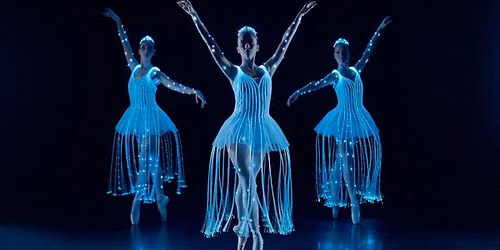 Ballet of Lights: Sleeping Beauty in a Sparkling Show