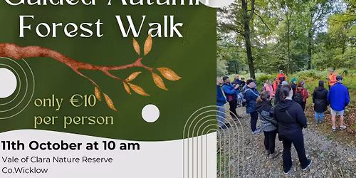 Guided Autumn Forest Walk - Vale of Clara - Co.Wicklow