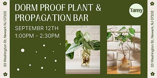 Dorm Proof Plant & Propagation Bar
