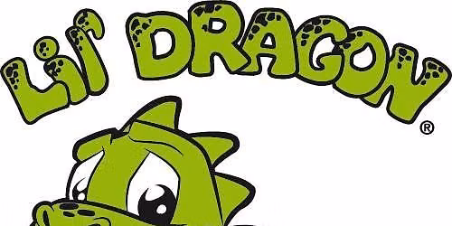 Lil dragon martial arts camp for ages 4-6