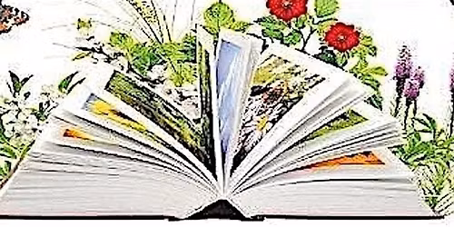 Spring Book Swap & Upcycled Paper Crafts  with NYPL