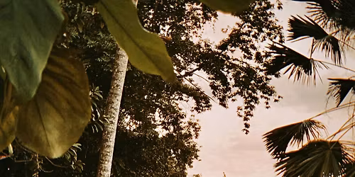 Evolve + Elevate in Bali with DeShawn Snow