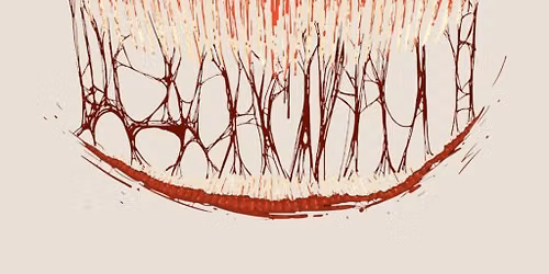 The Psychology of Horror Movies: