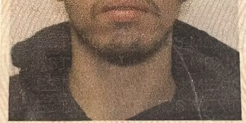 Yowii, Mandragora, Amygdala, Fectro in Madrid