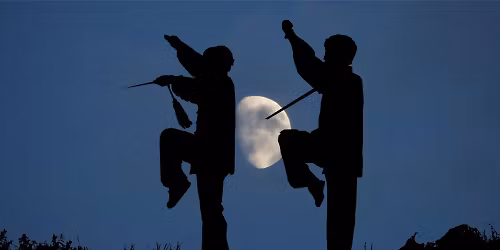 FREE Tai Chi Lessons (Brooklyn)