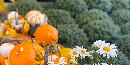 WBFD Auxiliary Fall Plant Sale